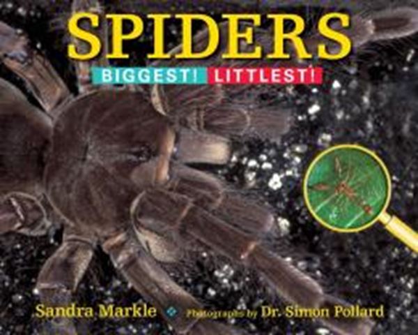 Picture of SPIDERS 