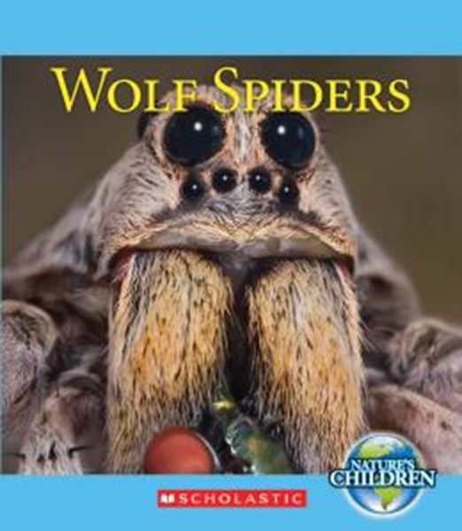 Picture of WOLF SPIDERS