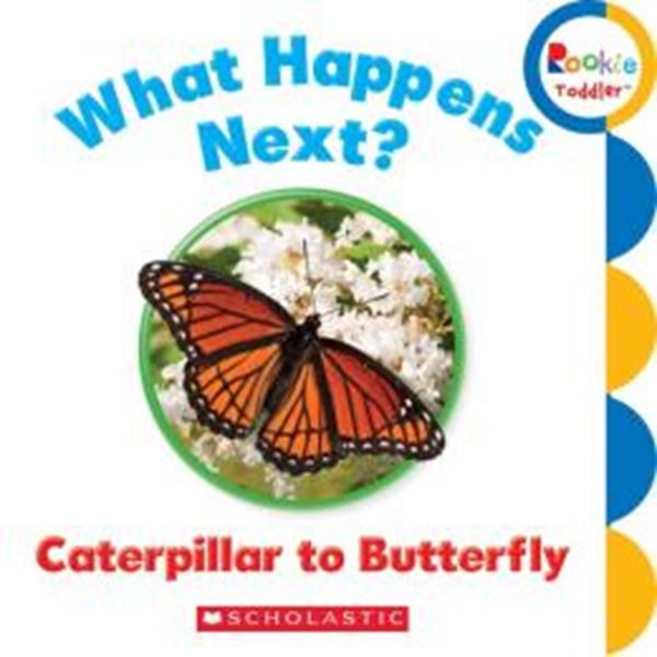 Picture of WHAT HAPPENS NEXT? CATERPILLAR TO BUTTERFLY
