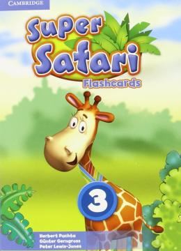 Imagem de SUPER SAFARI AMERICAN ENGLISH 3 FLASHCARDS - 1ST ED