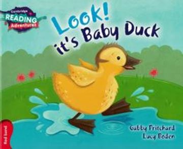 Imagem de LOOK! IT´S A BABY DUCK