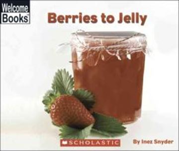 Imagem de BERRIES TO JELLY