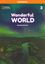 Imagem de WONDERFUL WORLD 3 - WORKBOOK - 2ND ED