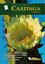 Imagem de CAATINGA - 2ª ED