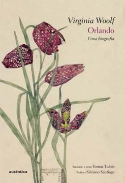 Imagem de ORLANDO - UMA BIOGRAFIA