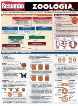 Imagem de RESUMAO - ZOOLOGIA