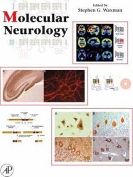 Picture of MOLECULAR NEUROLOGY