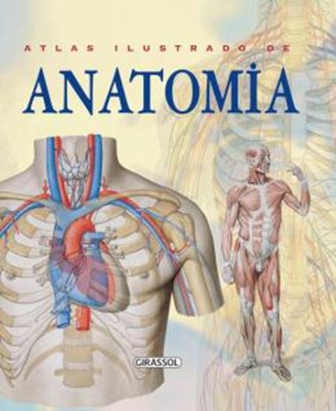 Picture of ATLAS ILUSTRADO DE ANATOMIA